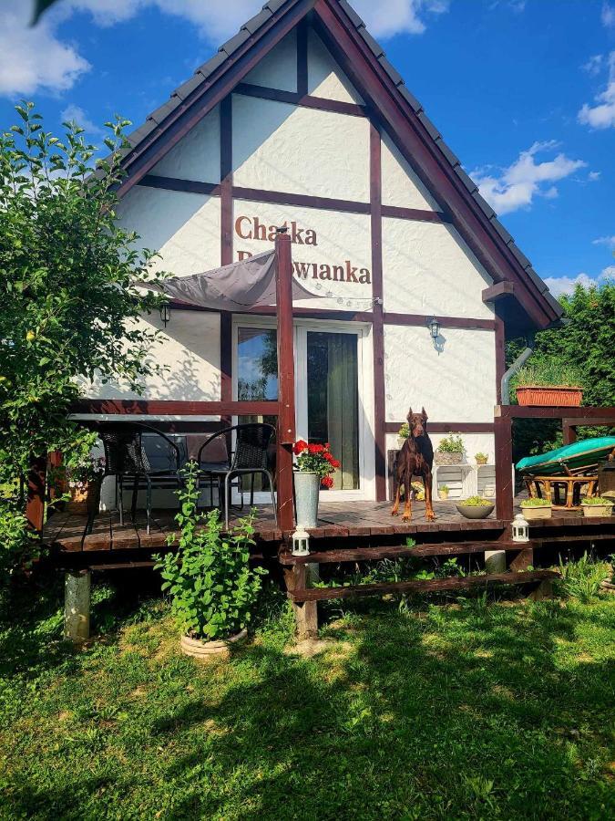 Chatka Bukowianka W Bukowcu Kolo Karpacza Bukowiec  Bagian luar foto